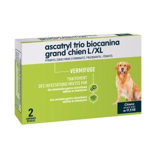 Ascatryl Trio Grand Chien L/Xl Cpr Secab Plaq Tfor 2