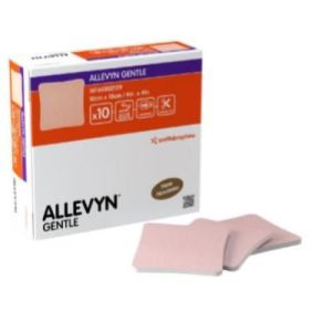 Allevyn Gentle Pans 10x10cm 10