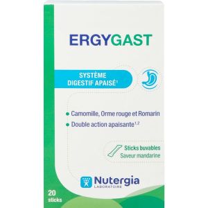 Ergygast 20 Sticks Buvables