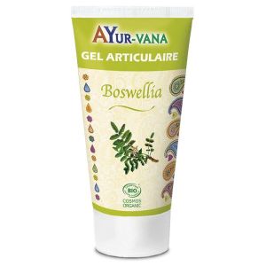 Ayur-vana Gel articulaire au Boswellia BIO - tube 75 ml