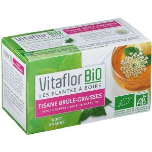 Vitaflorbio Vitaflor Bio Brule Graisses Tisane Sachet 1,5 G 18