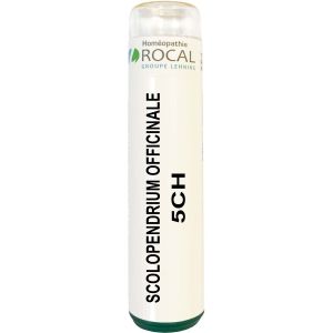 Scolopendrium officinale 5ch tube granules 4g rocal