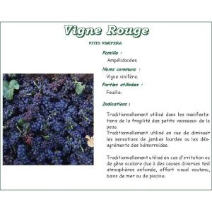 VIGNE ROUGE IPHYM Feuille de vigne rouge, vrac, sac 250 g