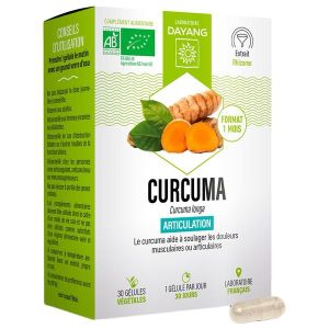 Dayang Curcuma Bio Gelule Boite 30