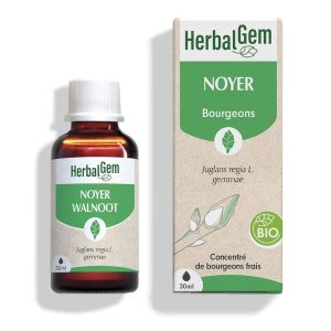 Dayang Macerat De Bourgeons (Mb) Noyer Bio Liquide Flacon 30 Ml 1