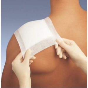 OMNIFIX ELASTIC Bande adhésive multiextensible en non tissé, 10 m x 2,5 cm, rouleau (ref. 900606), unité