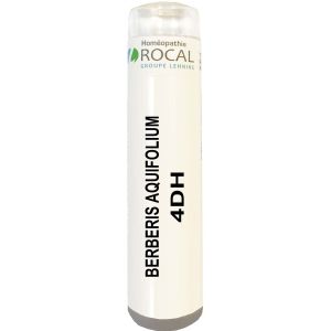 Berberis aquifolium 4dh tube granules 4g rocal