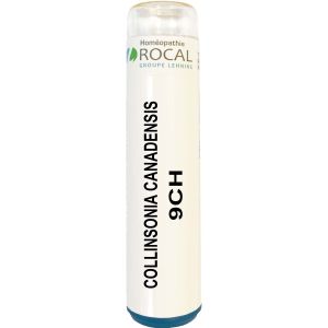 Collinsonia canadensis 9ch tube granules 4g rocal