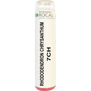 Rhododendron chrysanthum 7ch tube granules 4g rocal