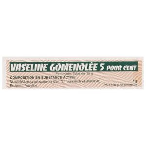 Vaseline Gomenolee 5 Pour Cent Pommade 1 Tube(S) Aluminium De 15 G