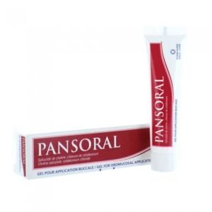 Pansoral Gel Pour Application Buccale 1 Tube(S) Polyethylene De 15 G