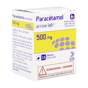 PARACETAMOL ARROW LAB Gélule 500 mg, boîte 1 flacon 16