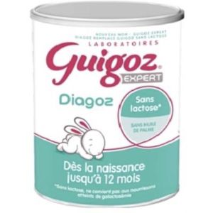 Guigoz Expert Diagoz 0-12 Mois Poudre Boite 400 G 1