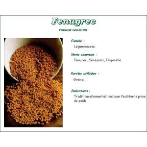 Iphym Fenugrec Graine Plante Entier 100 G 1