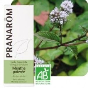 Pranarom HE Menthe poivrée (Mentha x piperita) - 10 ml