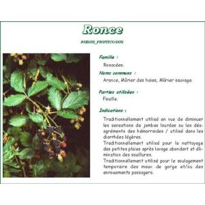Iphym Ronce Feuille Coupe Tamise Plante 250 G 1