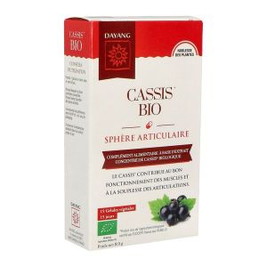 DAYANG PLANTE UNITAIRE BIO CASSIS Gélule, complément alimentaire à base d'extrait concentré de cassis bio, bt 15