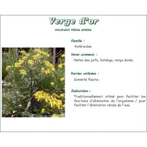VERGE D'OR PLANTE PHARMA PLANTES Verge d'or plante, vrac, coupée, sac 250 g
