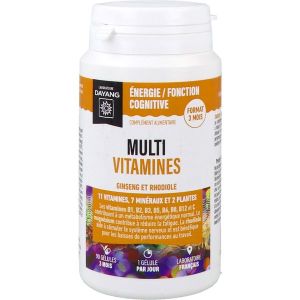 DAYANG MULTIVITAMINES GELULE FLACON 90