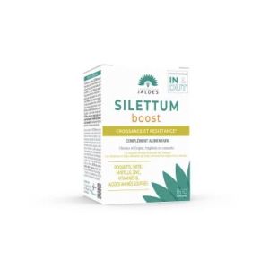 SILETTUM BOOST GELULE BOITE 60