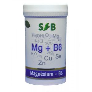 SFB Laboratoires Magnesium marin + B6 - 60 gélules