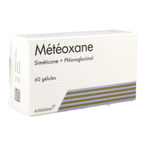METEOXANE Gélule, boîte 60