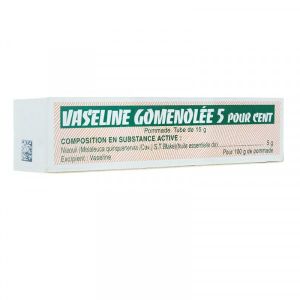 Vaseline Gomenolee 5 Pour Cent Pommade 1 Tube(S) Aluminium De 15 G