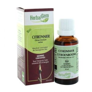 HerbalGem Citronnier BIO - 30 ml