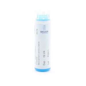 CALCAREA CARBONICA OSTREARUM D30 Granules