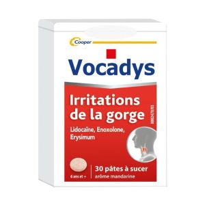 VOCADYS PATE A SUCER B/30