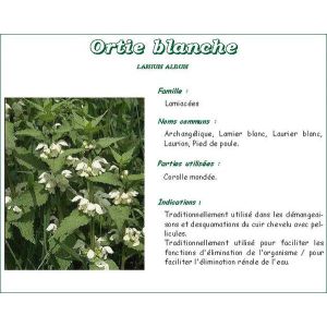 Iphym Ortie Blanche Plante Coupee Tisane Sachet 50 G 1