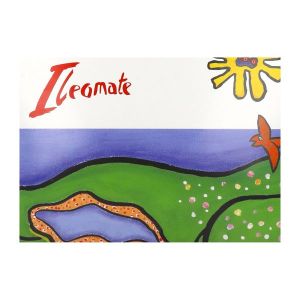 Ileomate 1P Vidable Cvx Souple Pre Decoupe Poche 35 Mm 30