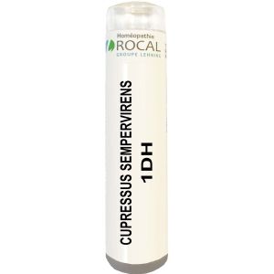 CUPRESSUS SEMPERVIRENS 1DH TUBE GRANULES 4G ROCAL