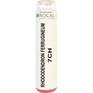 Rhododendron ferrugineum 7ch tube granules 4g rocal