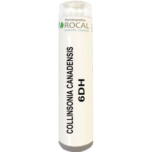Collinsonia canadensis 6dh tube granules 4g rocal