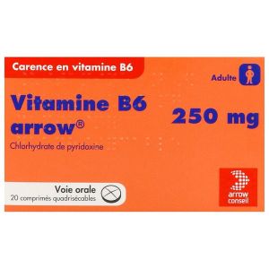Vitamine B6 Richard 250 Mg Comprime Quadrisecable B/20
