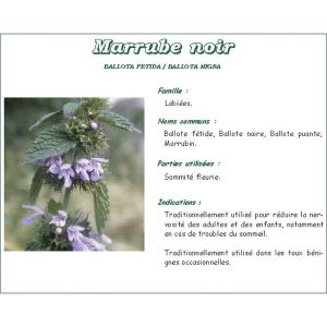 BALLOTE FETIDE IPHYM Ballote fétide, vrac, coupée, sac 250 g