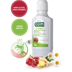 Gum Activital Bain De Bouche Solution Flacon 300 Ml 1