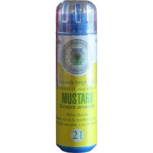 Kosmeo Moutarde/Mustard 130 granules