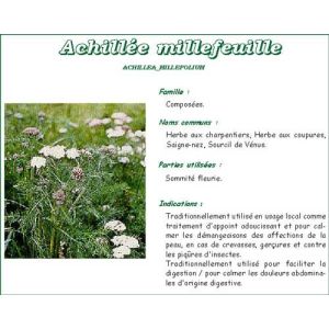 Vitaflor Millefeuille Sommites Fleuries Tis Bt 100 G 1