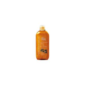 Martine Mahe - Shampoing huile de Camélia reflet blond naturel - 200 ml