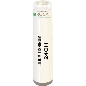 Lilium tigrinum 24ch tube granules 4g rocal