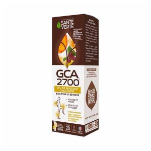 Santé Verte GCA 2700 Gel de Massage Chauffant 100 ml