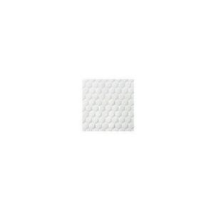 Biatain® Fiber - Boîte de 10 pansements hydrofibres en fibres de CMC - 12.5 X 12.5 cm Référence: 335050