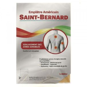Saint-Bernard Emplatre Americain Patch Boite 3