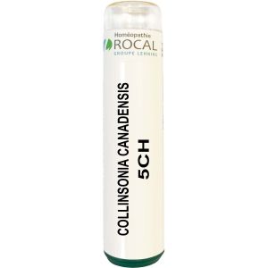 COLLINSONIA CANADENSIS 5CH TUBE GRANULES 4G SACCHAROSE PUR ROCAL