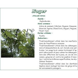 NOYER PHARMA PLANTES Feuille de noyer, vrac, coupée, sac 250 g