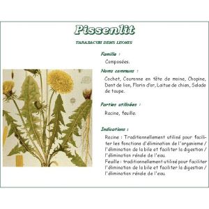 PARIETAIRE FEUILLE PHARMA PLANTES Feuille de pariétaire officinale, vrac, coupée, sac 250 g