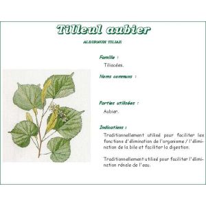 TILLEUL AUBIER COPEAU VITAFLOR Copeau d'aubier de tilleul, vrac, bt 200 g