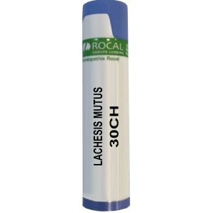 Lachesis mutus 30ch dose 1g rocal